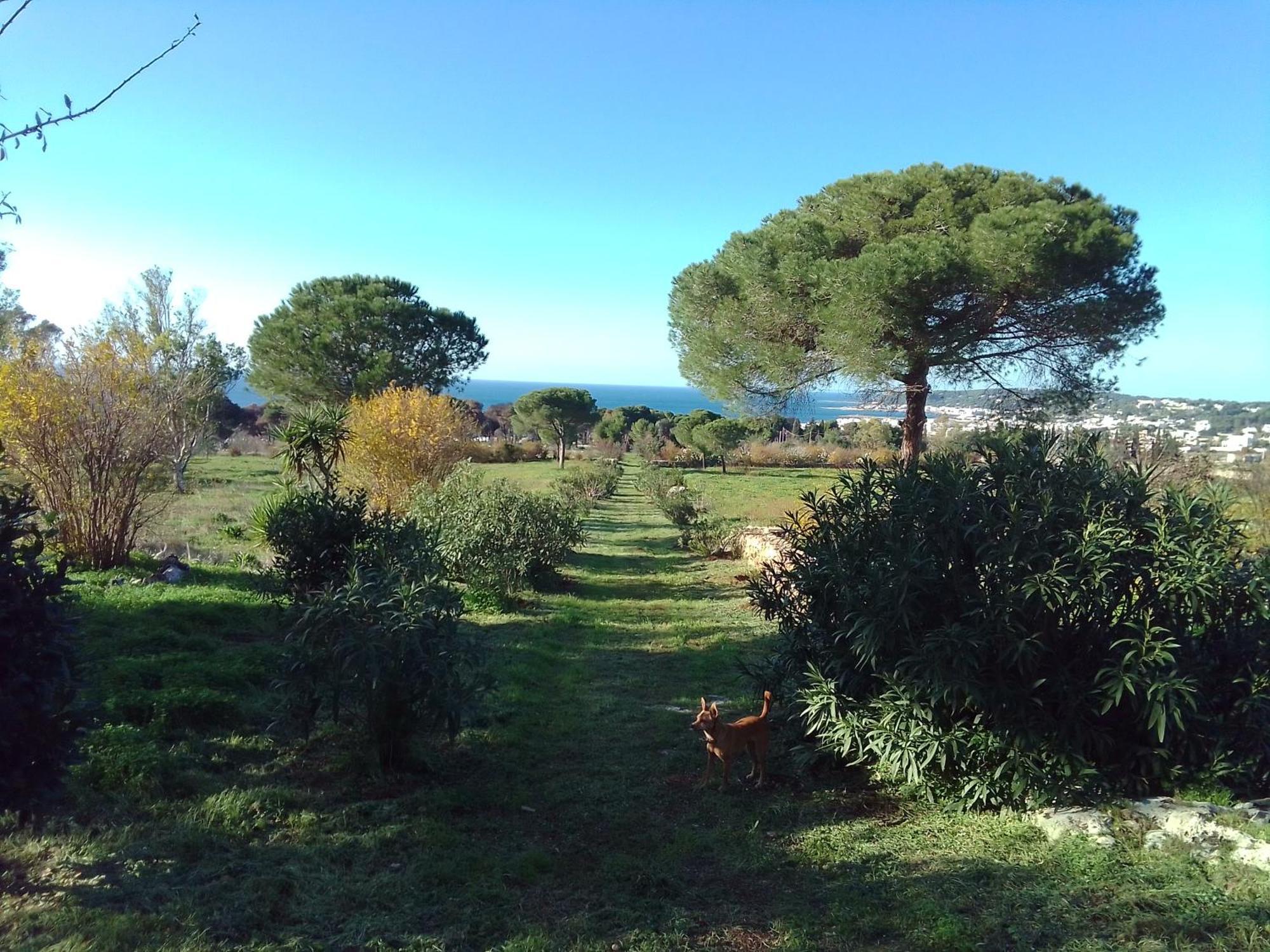 Bauernhof Antica Tenuta *