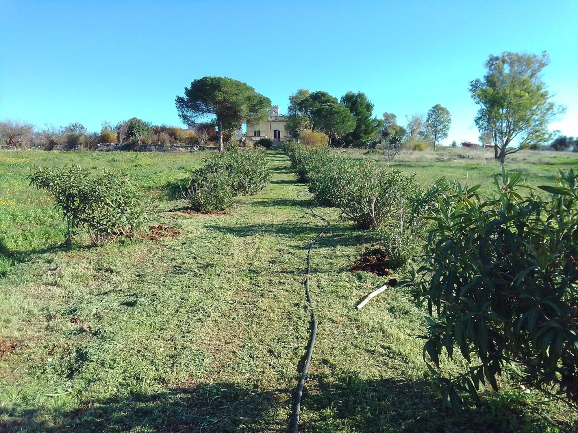 Bauernhof Antica Tenuta