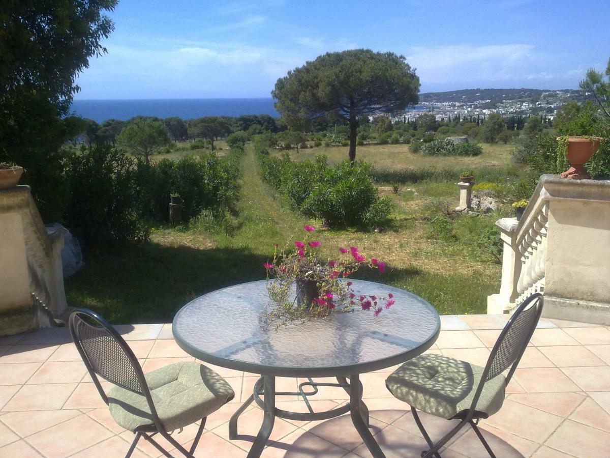 Antica Tenuta Farm stay