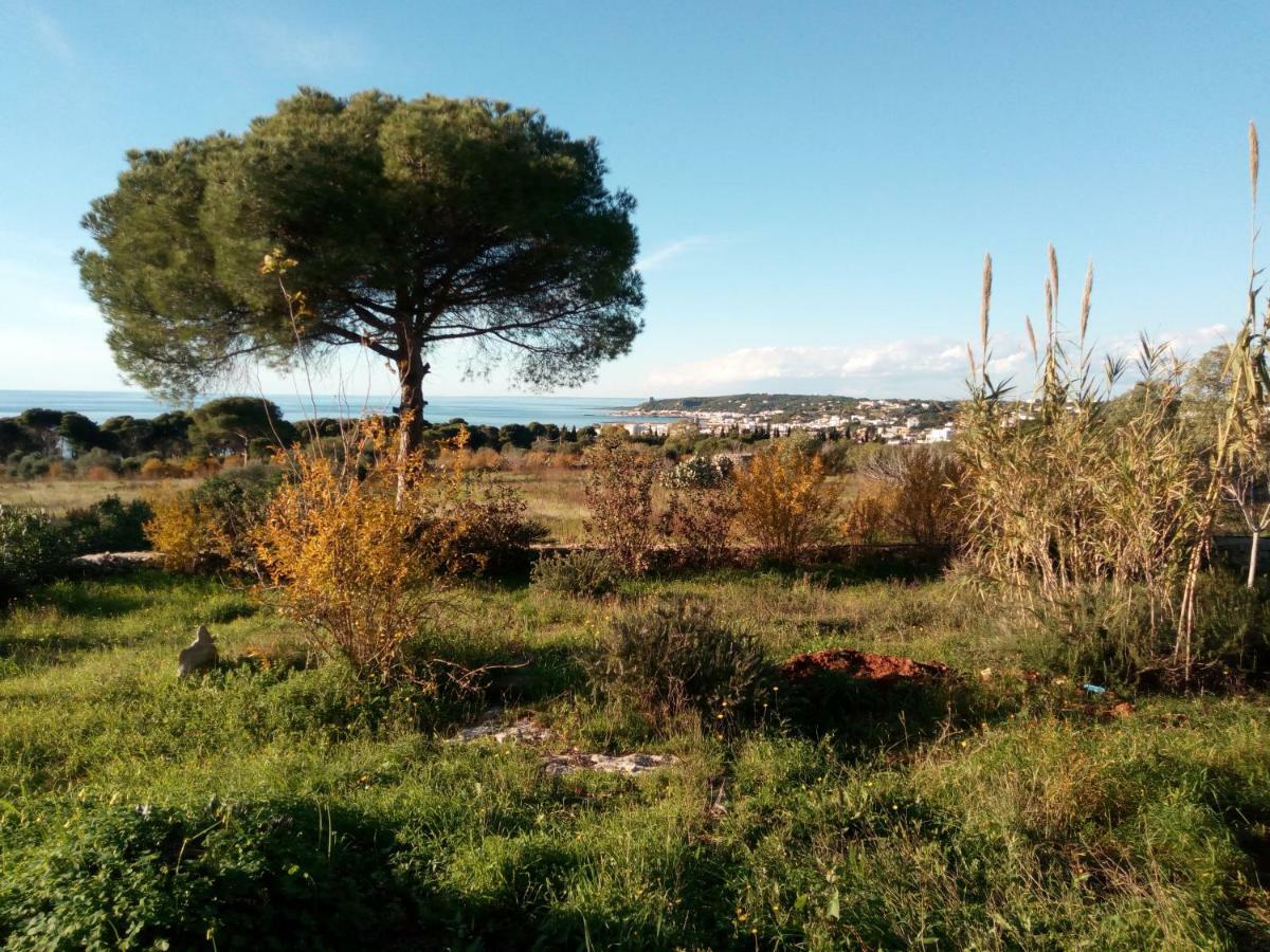 Antica Tenuta *